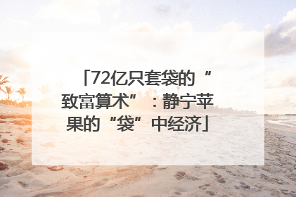 72亿只套袋的“致富算术”：静宁苹果的“袋”中经济