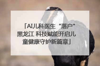 AI儿科医生“落户”黑龙江 科技赋能开启儿童健康守护新篇章