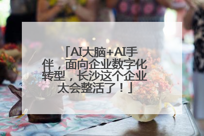 AI大脑+AI手伴，面向企业数字化转型，长沙这个企业太会整活了！
