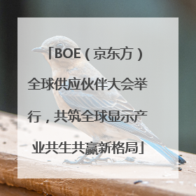 BOE（京东方）全球供应伙伴大会举行，共筑全球显示产业共生共赢新格局