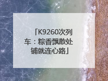 K9260次列车：粽香飘散处 铺就连心路
