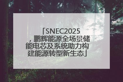 SNEC2025，鹏辉能源全场景储能电芯及系统助力构建能源转型新生态