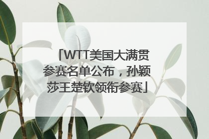 WTT美国大满贯参赛名单公布，孙颖莎王楚钦领衔参赛